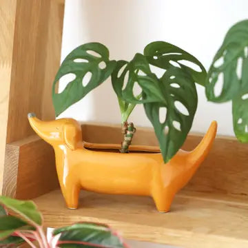Dachshund Dog Planter